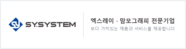 에스와이시스템